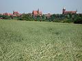 Motorradtour Baltikum Juni 2008_Kulm_Panorama